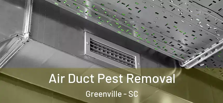  Air Duct Pest Removal Greenville - SC