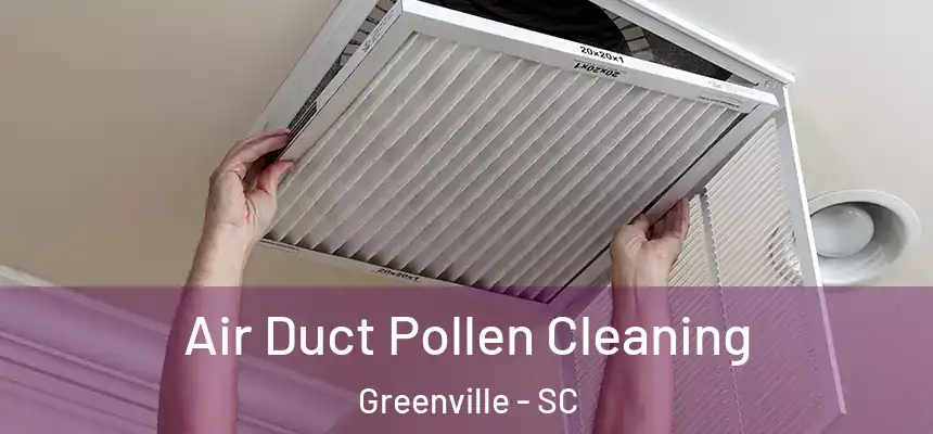  Air Duct Pollen Cleaning Greenville - SC
