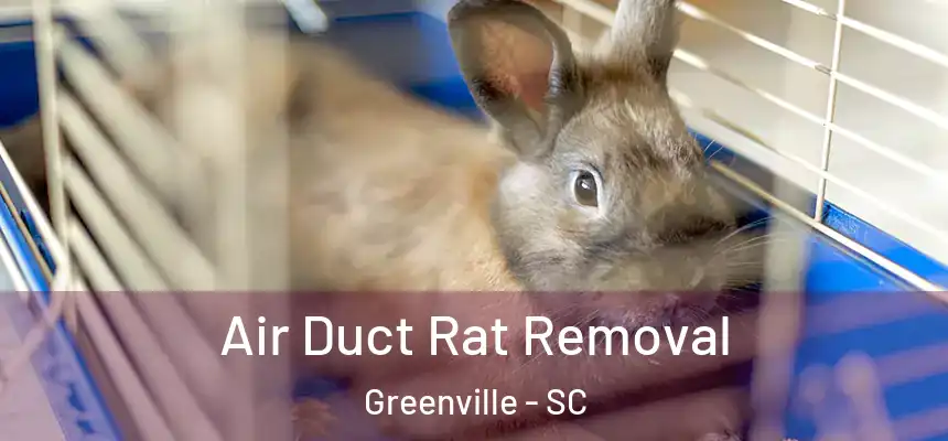  Air Duct Rat Removal Greenville - SC