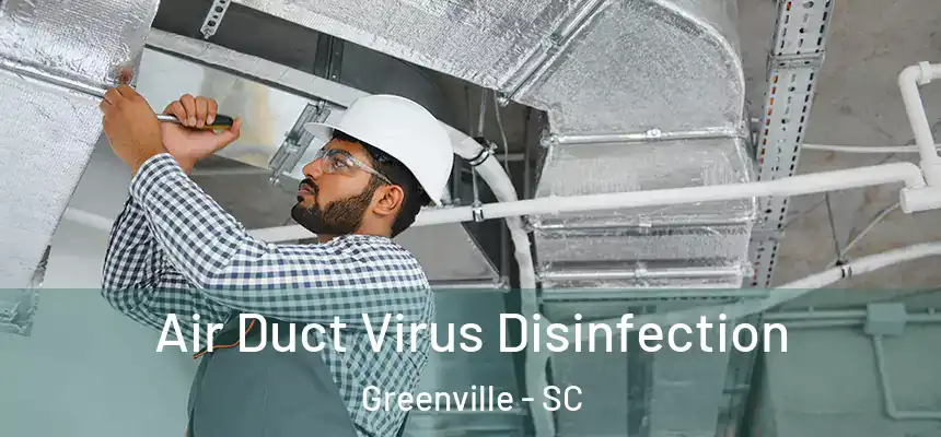  Air Duct Virus Disinfection Greenville - SC