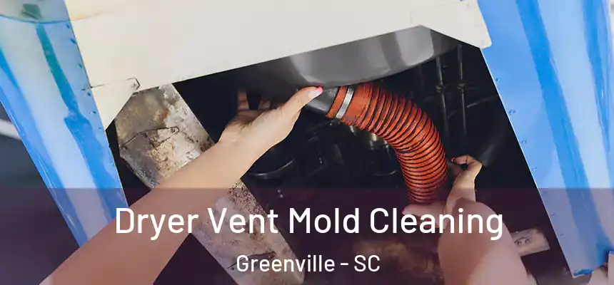  Dryer Vent Mold Cleaning Greenville - SC