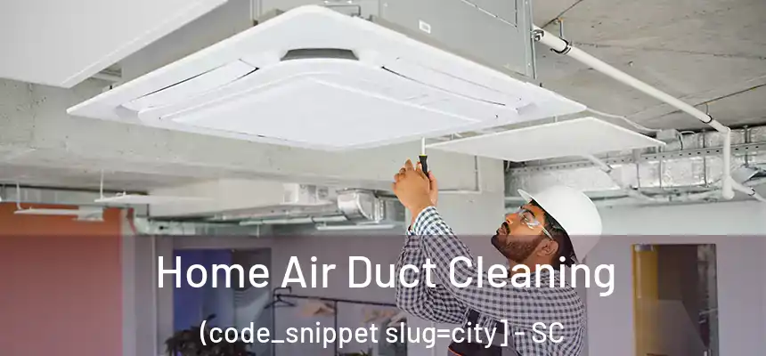  Home Air Duct Cleaning (code_snippet slug=city] - SC