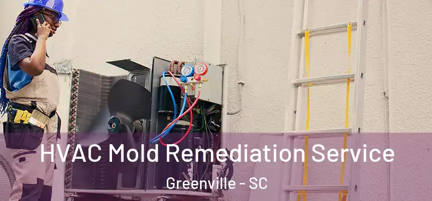  HVAC Mold Remediation Service Greenville - SC