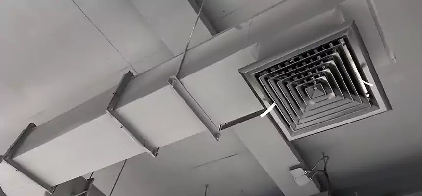 Our Pest Removal From Ducts Services in Greenville, SC