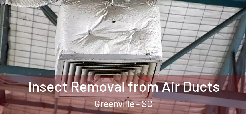  Insect Removal from Air Ducts Greenville - SC
