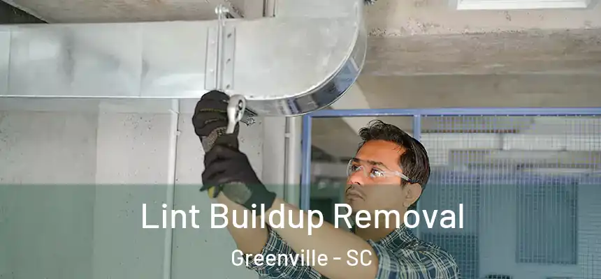  Lint Buildup Removal Greenville - SC