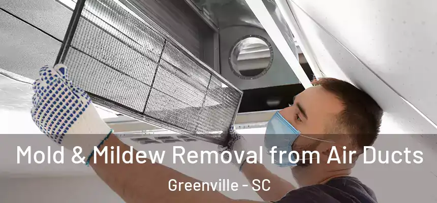  Mold & Mildew Removal from Air Ducts Greenville - SC
