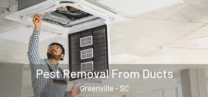  Pest Removal From Ducts Greenville - SC