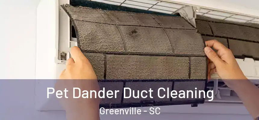 Pet Dander Duct Cleaning Greenville - SC