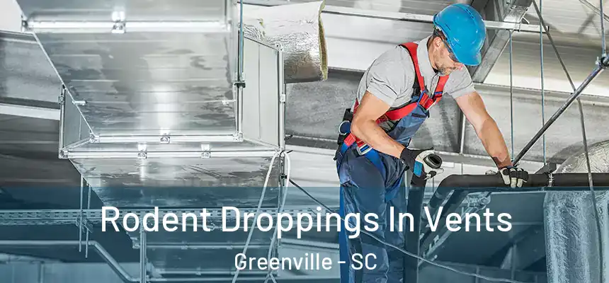  Rodent Droppings In Vents Greenville - SC