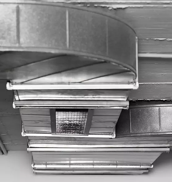 Professional Air Duct Pest Removal in Greenville, SC