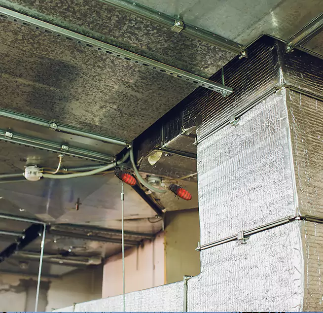 Why Homeowners & Businesses Trust Us in Greenville, SC?