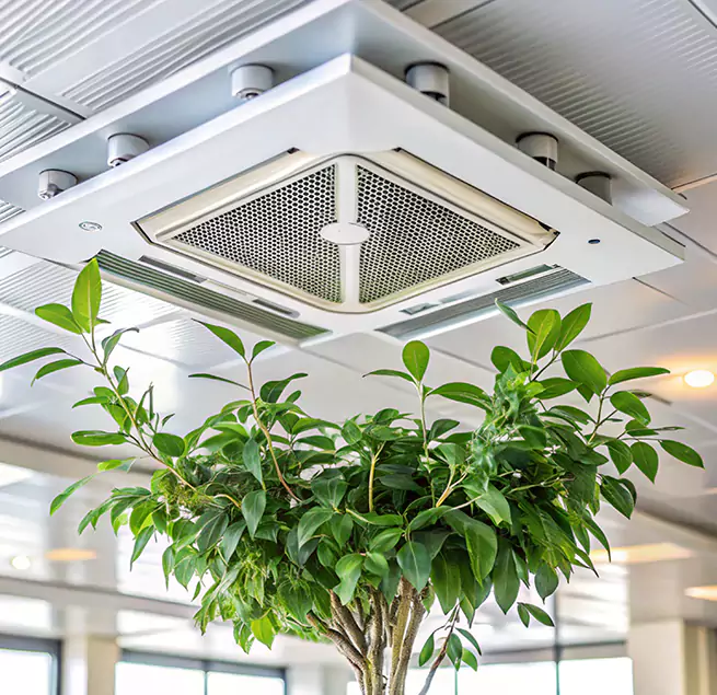 Why Homeowners & Businesses Trust Us in Greenville, SC