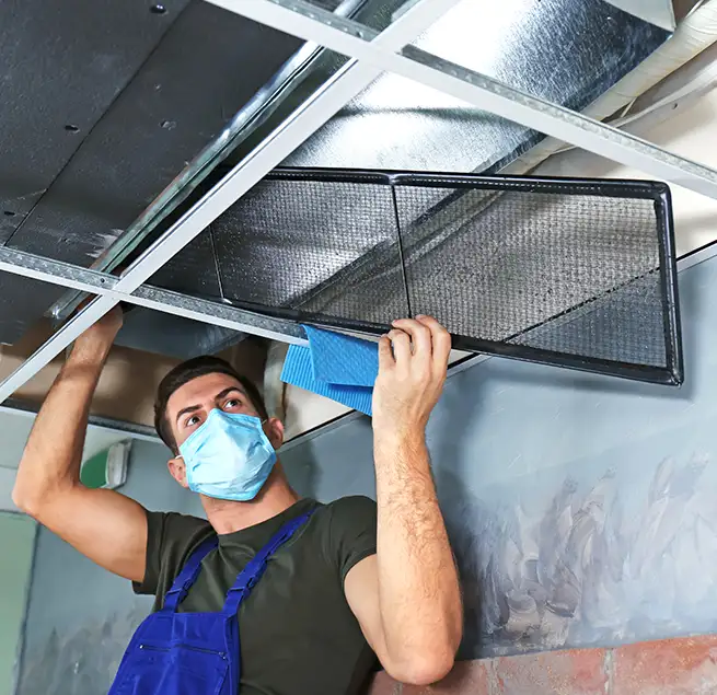 Why Homeowners & Businesses Trust Us in Greenville, SC?