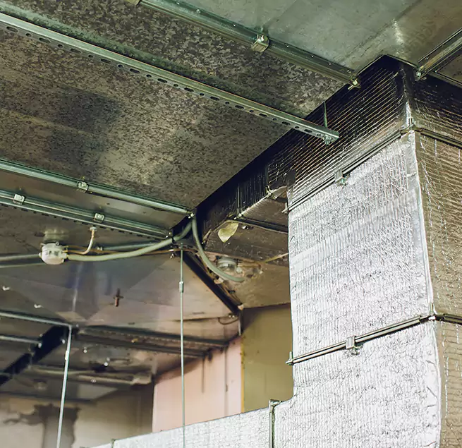 Why Homeowners & Businesses Trust Us in Greenville, SC?