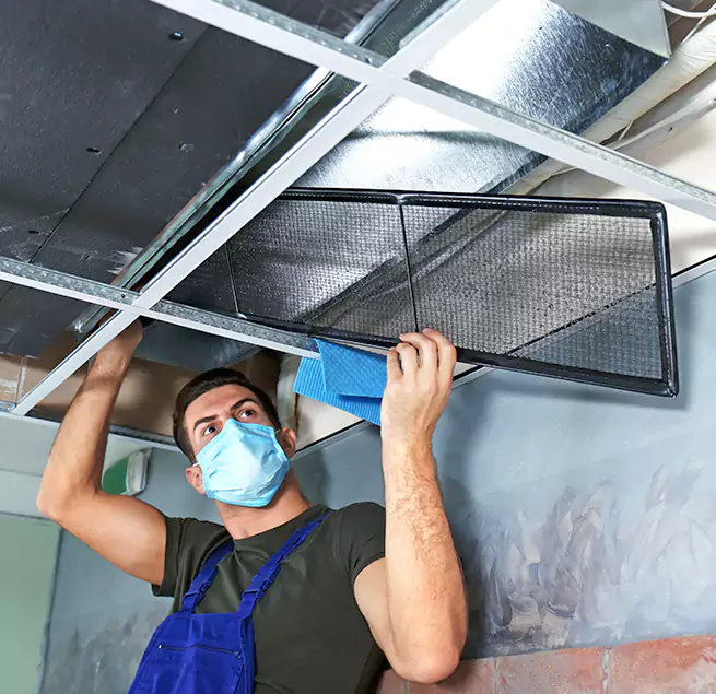 Why Homeowners & Businesses Trust Us in Greenville, SC?