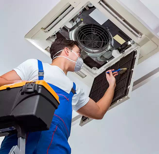 Why Homeowners & Businesses Trust Us in Greenville, SC?